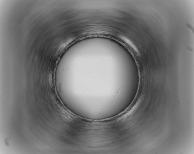 X0000095900777200801110804