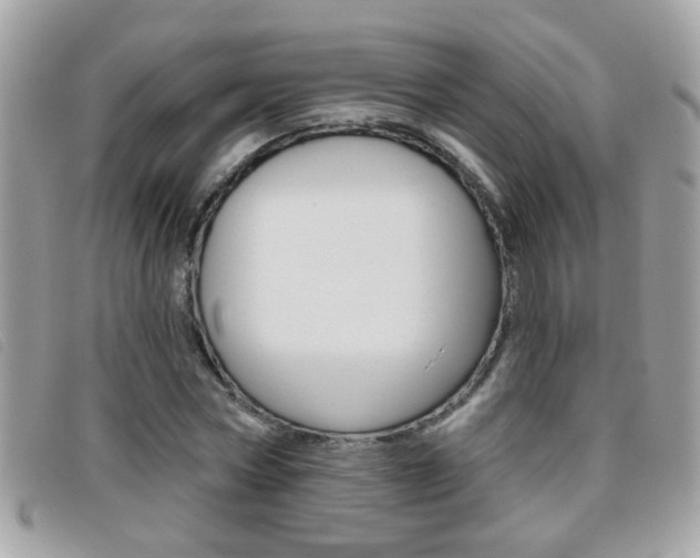X0000095900778200801110804