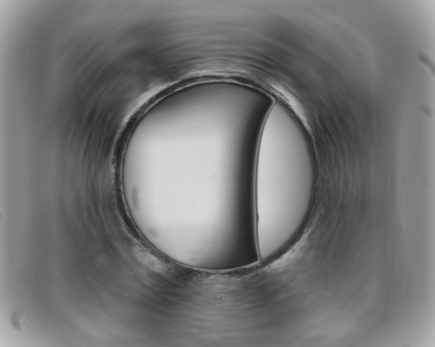 X0000095900779200801110804