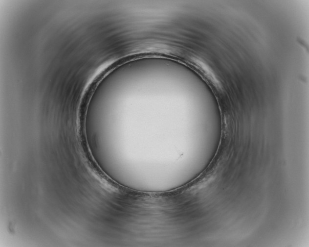 X0000095900780200801110804