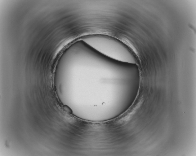 X0000095900781200801110804
