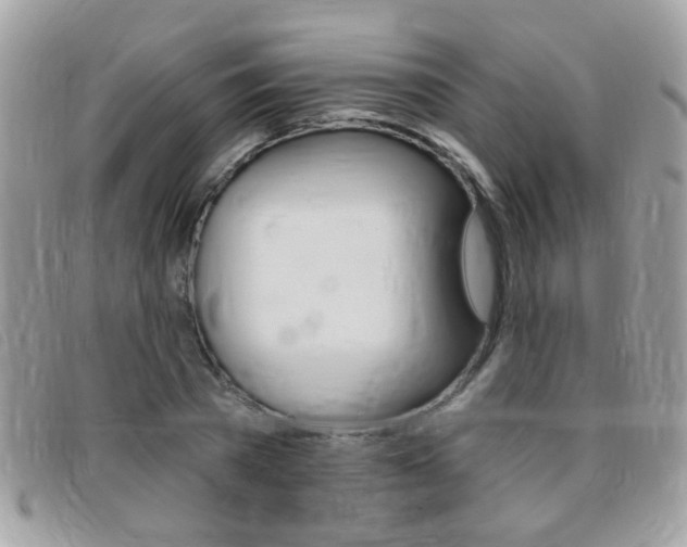 X0000095900785200801110804