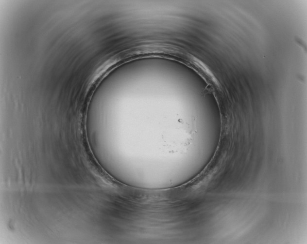 X0000095900786200801110804