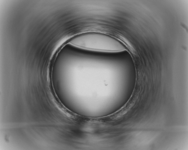 X0000095900788200801110804