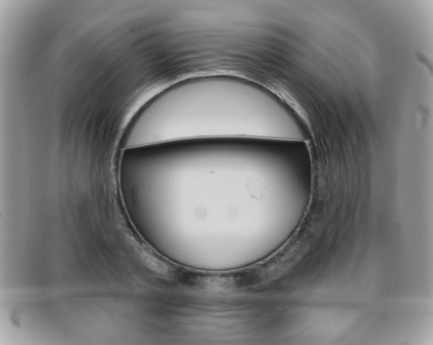 X0000095900789200801110804