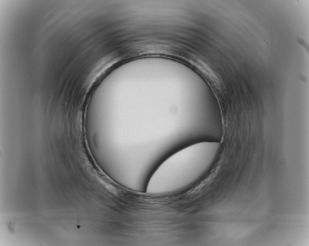 X0000095900790200801110804