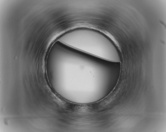 X0000095900791200801110804