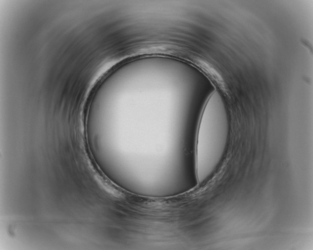 X0000095900792200801110804