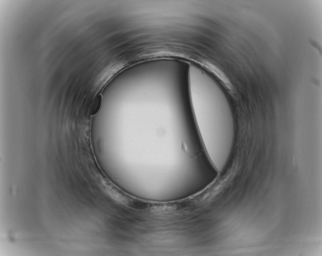 X0000095900793200801110804