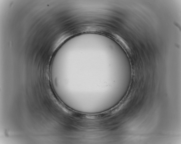 X0000095900794200801110804