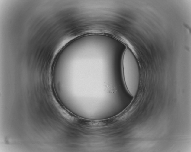 X0000095900795200801110804