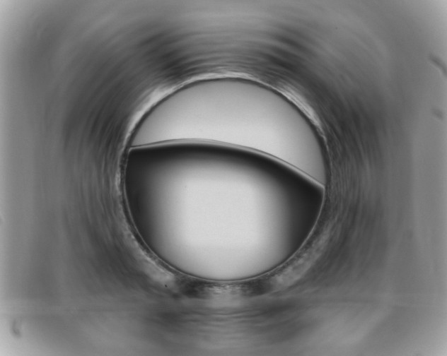 X0000095900797200801110804