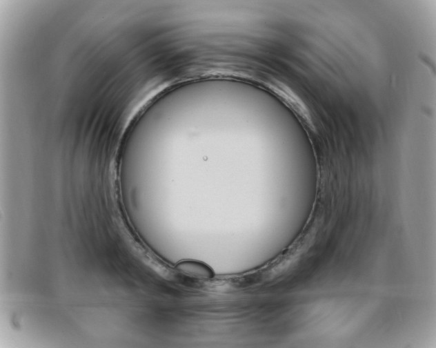 X0000095900798200801110804
