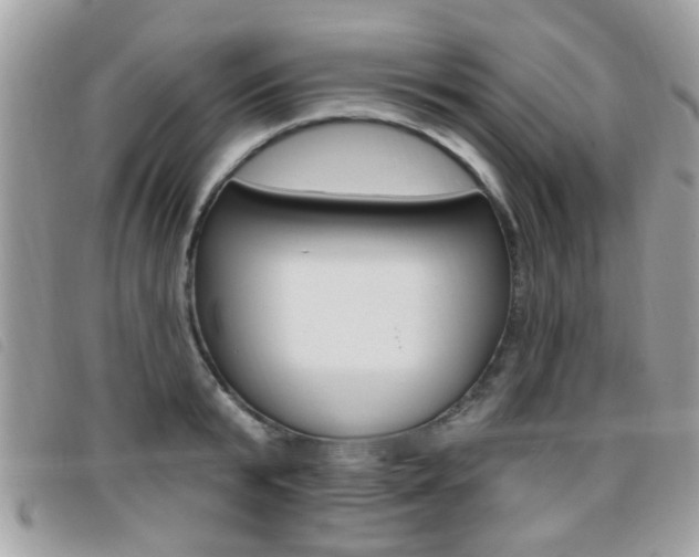 X0000095900799200801110804