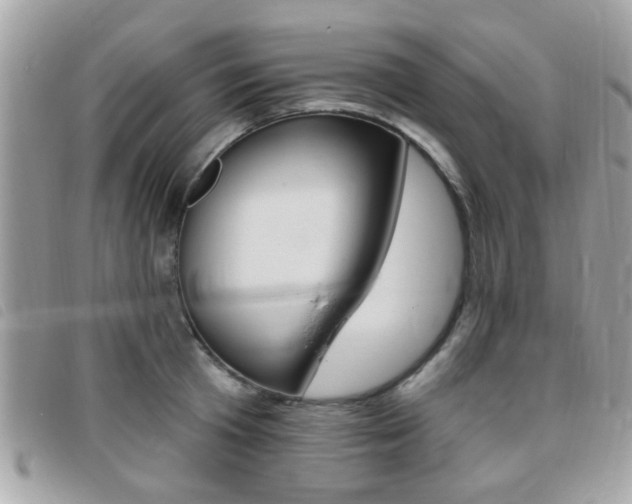 X0000095900801200801110803