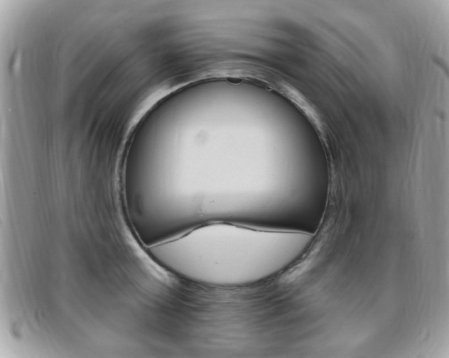 X0000095900803200801110803