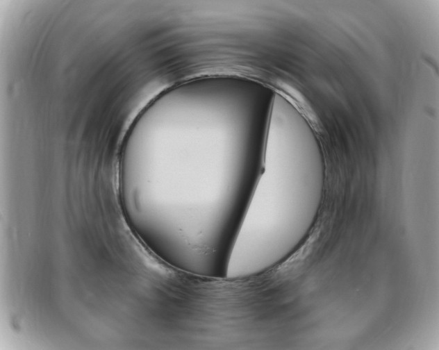 X0000095900804200801110803