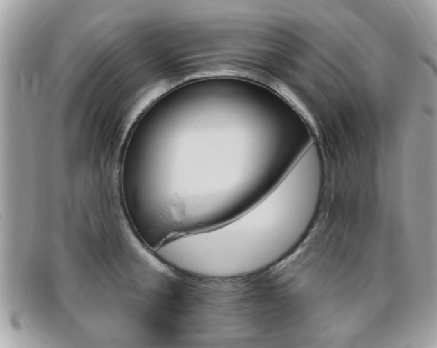 X0000095900805200801110803