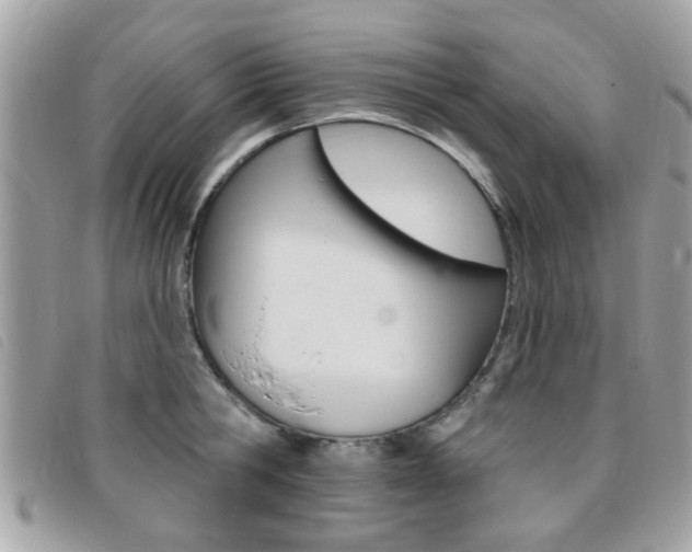 X0000095900806200801110803