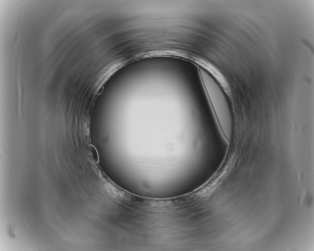 X0000095900809200801110803