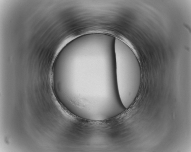 X0000095900811200801110803