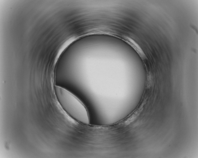 X0000095900812200801110803