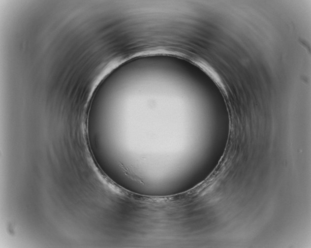 X0000095900813200801110803