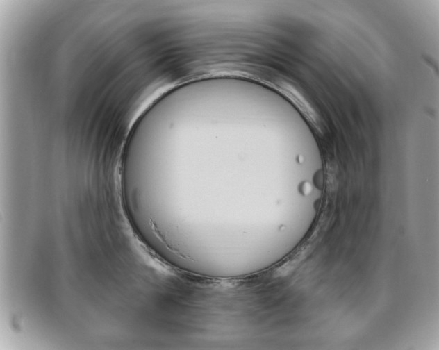 X0000095900814200801110803