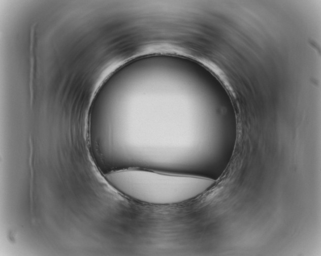 X0000095900815200801110803