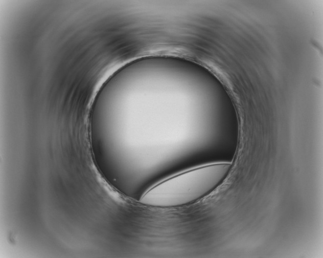 X0000095900816200801110803
