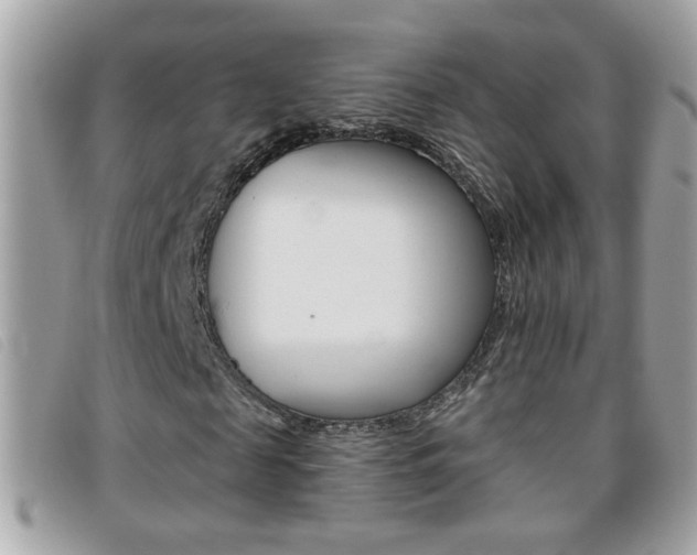 X0000095900817200801110802