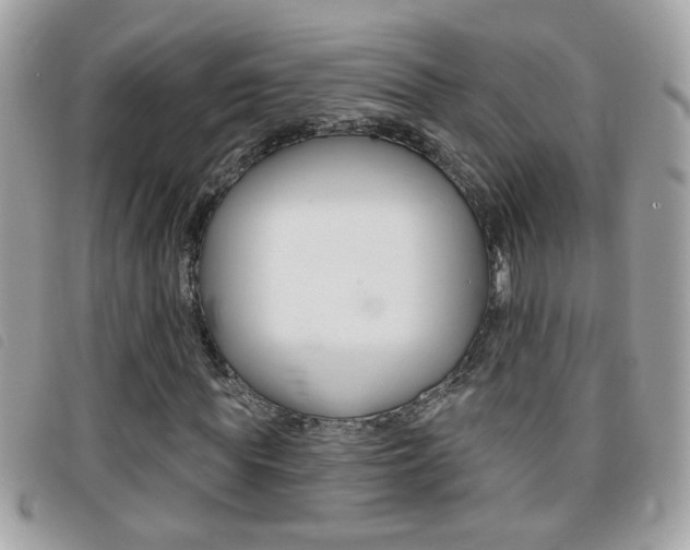 X0000095900819200801110802