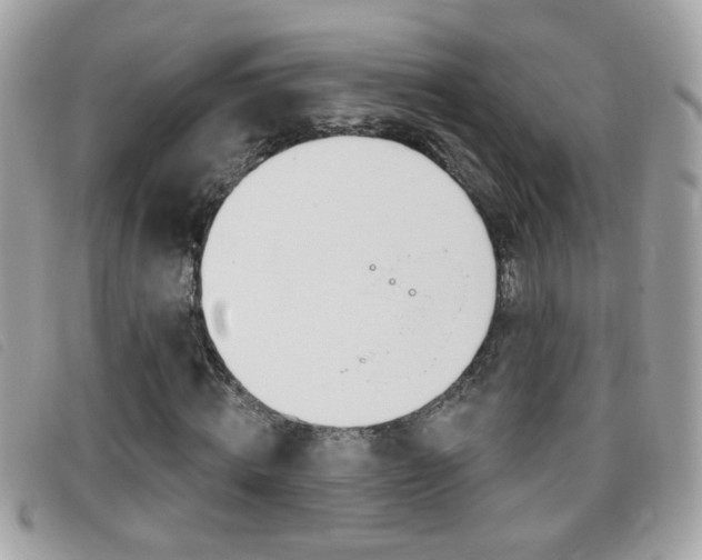 X0000095900820200801110802