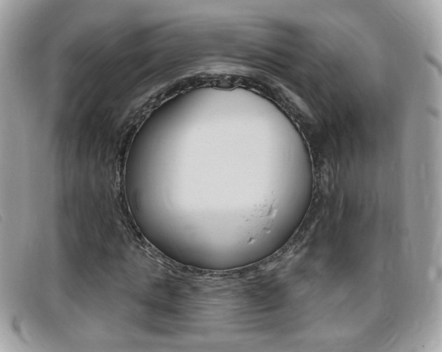 X0000095900821200801110803