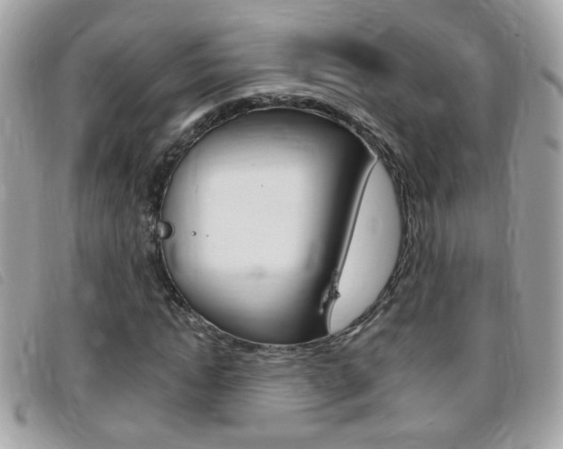 X0000095900822200801110803