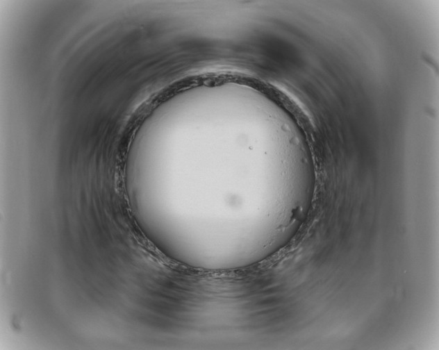 X0000095900823200801110803