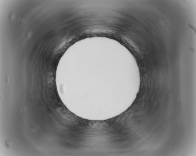 X0000095900824200801110803