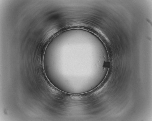 X0000095900825200801110803