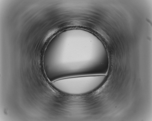 X0000095900826200801110803