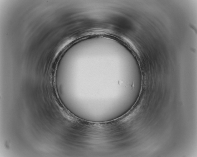 X0000095900827200801110803
