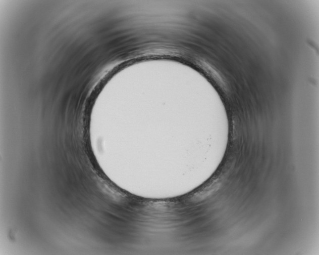 X0000095900828200801110803