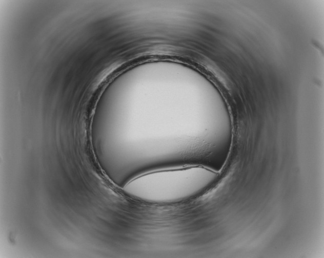 X0000095900829200801110803