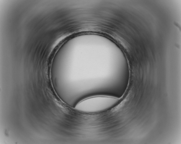 X0000095900830200801110803