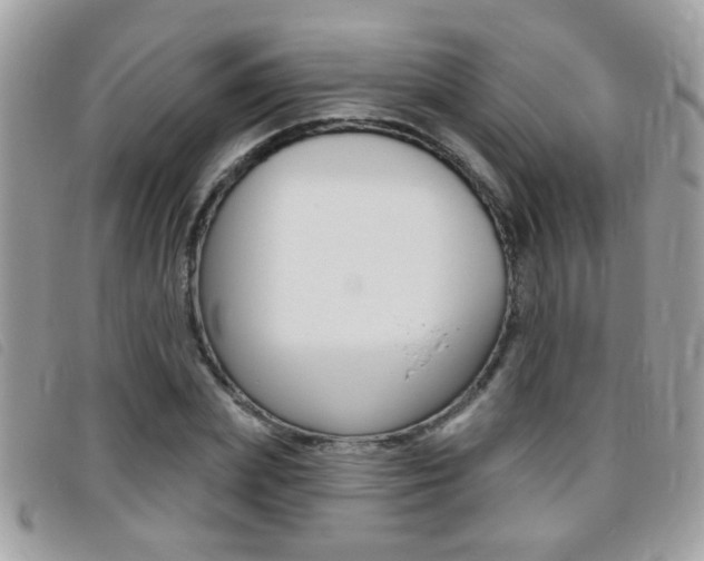 X0000095900831200801110803