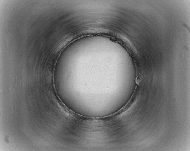 X0000095900833200801110803