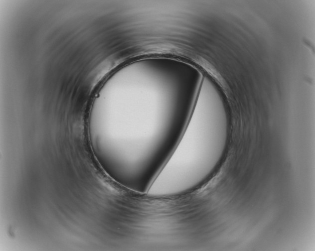 X0000095900834200801110803