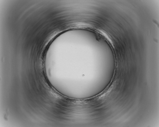 X0000095900835200801110803