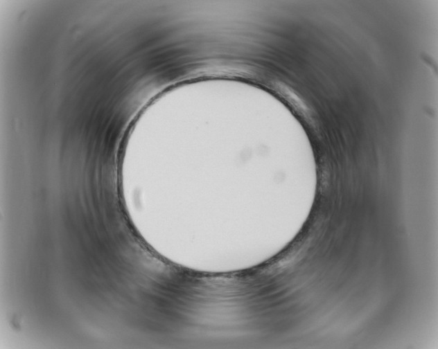 X0000095900836200801110803
