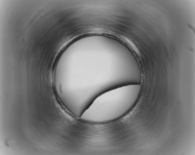 X0000095900839200801110803