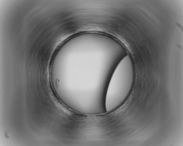 X0000095900840200801110803